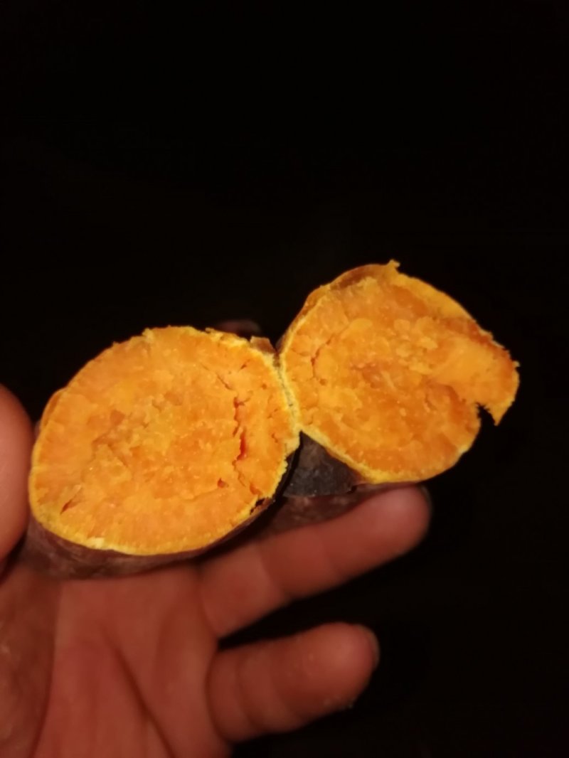 红薯西瓜红丶色泽亮丽丶口感香甜。