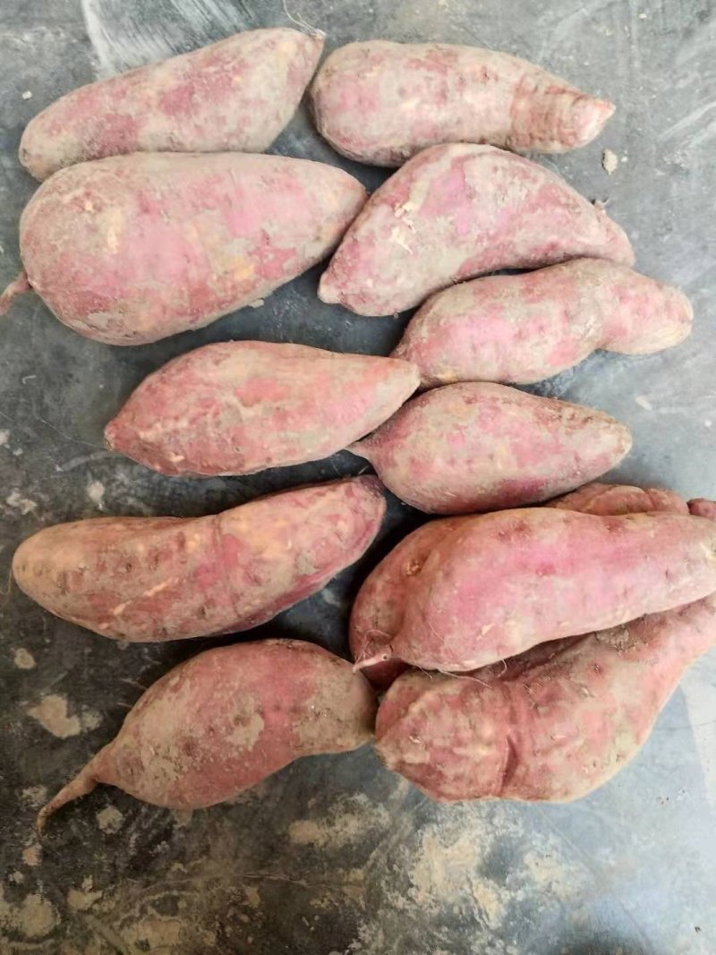 红薯西瓜红丶色泽亮丽丶口感香甜。