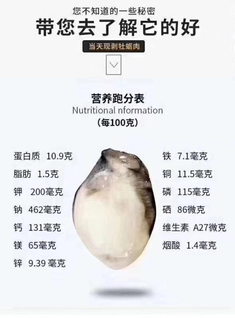 广东潮州深海蚝，全壳半壳全肉，一手货源价格便宜运费自理
