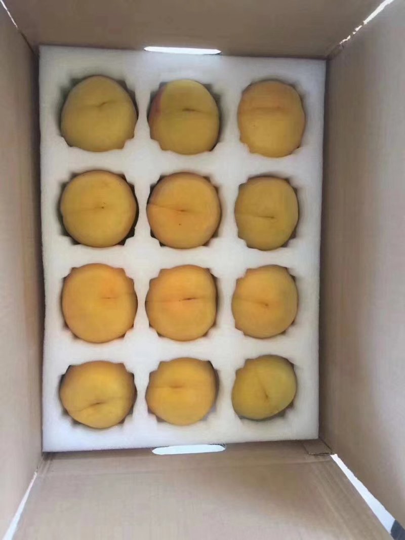 水果