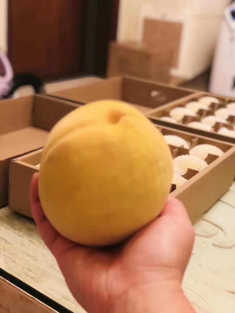 水果
