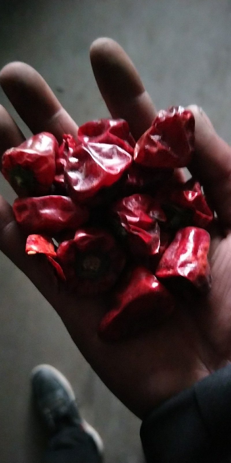 干辣椒特辣批发魔鬼椒超辣辣椒干香辣椒粉辣椒面正宗印度魔鬼