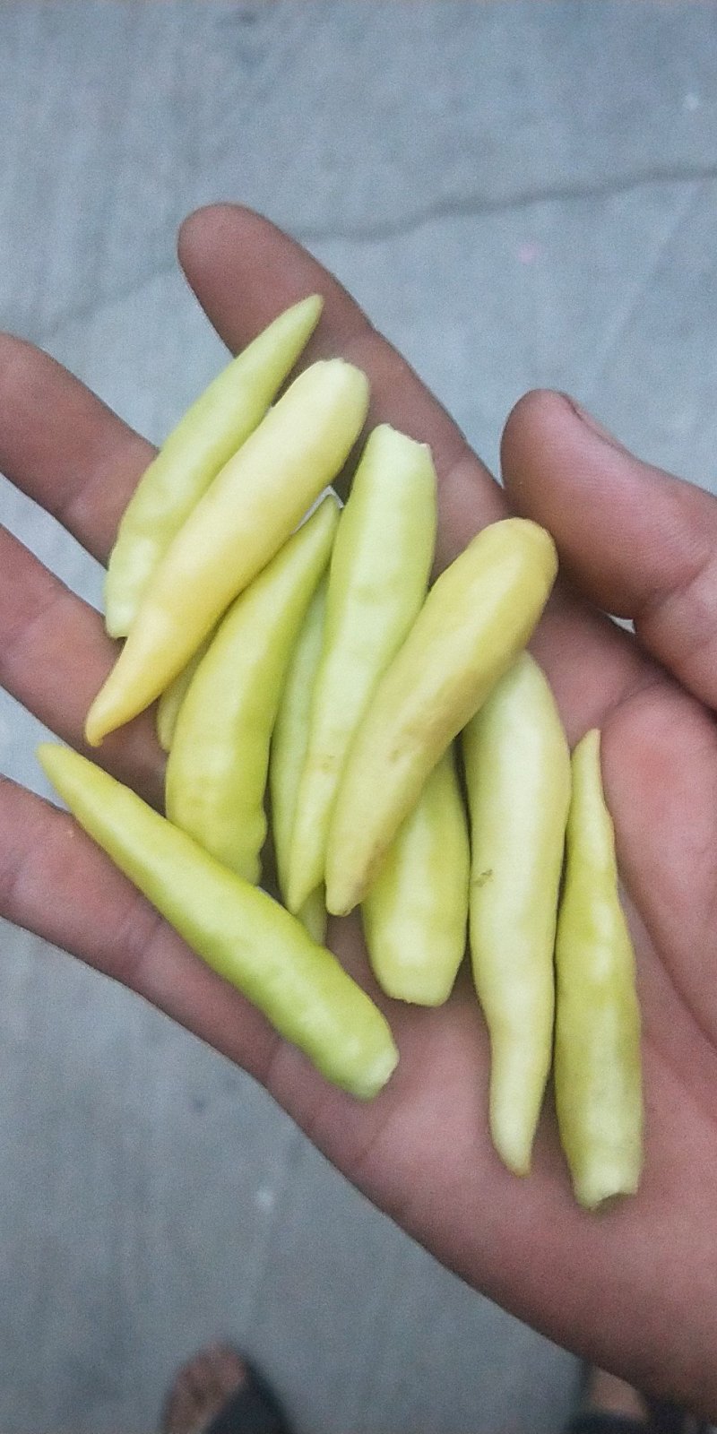 干辣椒特辣批发魔鬼椒超辣辣椒干香辣椒粉辣椒面正宗印度魔鬼