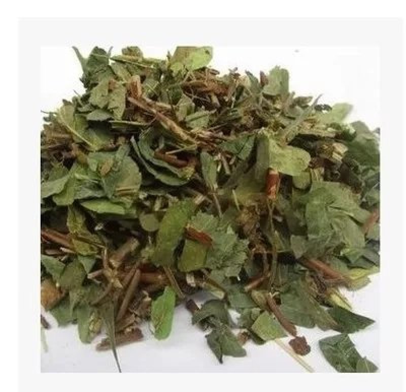 鸡骨草叶养生茶鸡骨草农家初选农副产品1234