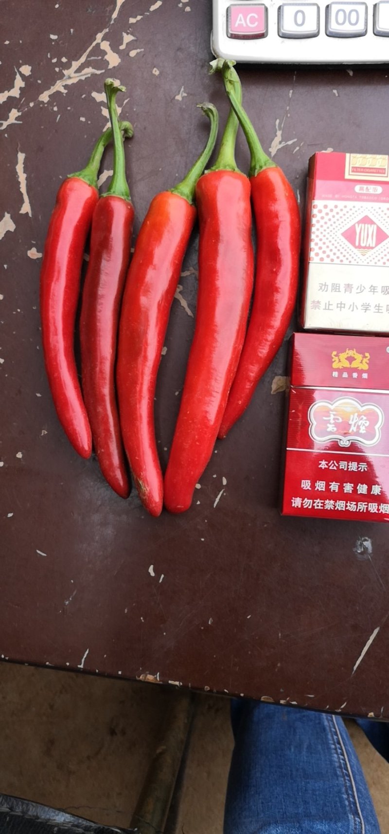 精品美人椒