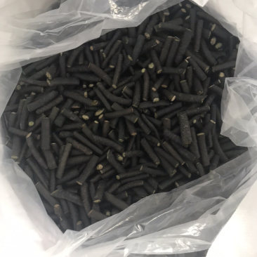 中号笋