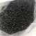 中号笋