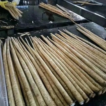 新鲜刚出土的牛蒡量大从优