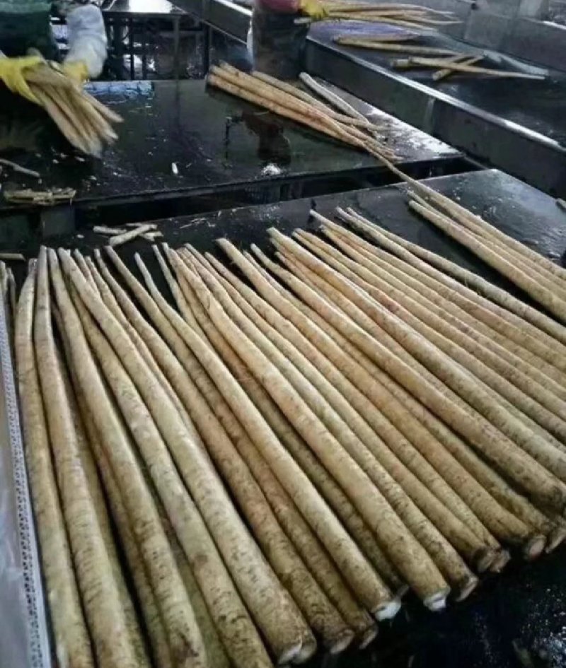 新鲜刚出土的牛蒡量大从优