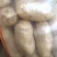 荷兰十五微七沃土土豆通货2两以上3两以上4两以上