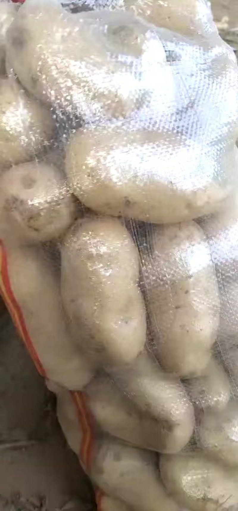 荷兰十五微七沃土土豆通货2两以上3两以上4两以上