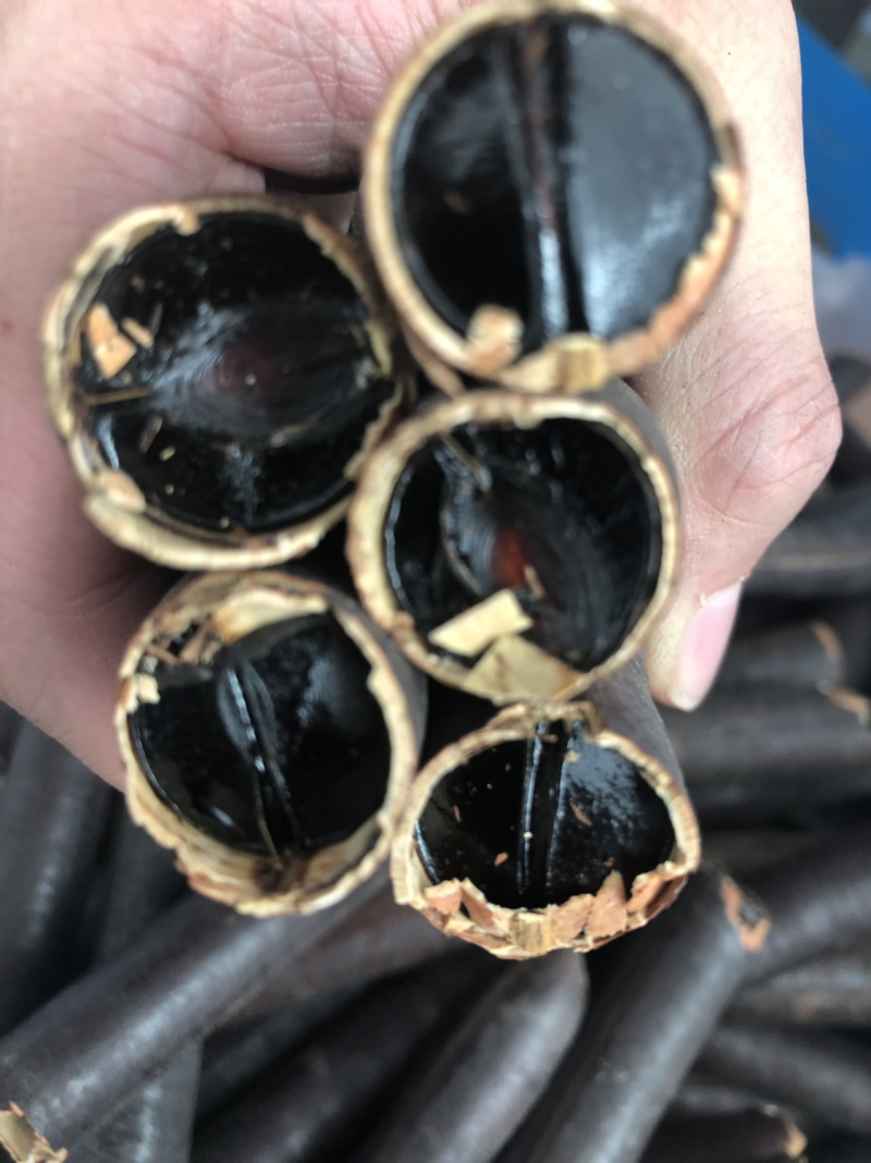 新货，无虫便秘果，腊肠果，便秘果一手货源，油脂好，包邮