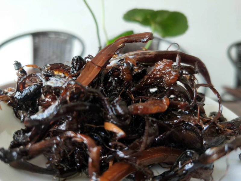 鸡枞油