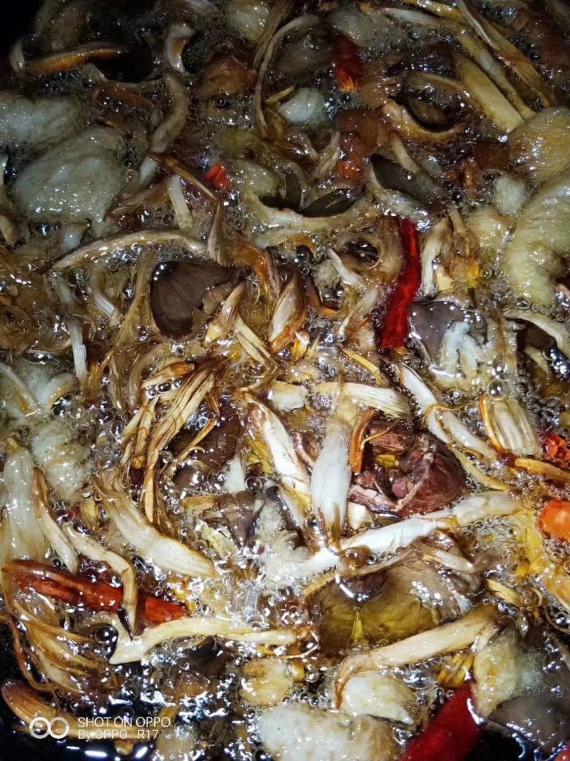 鸡枞油