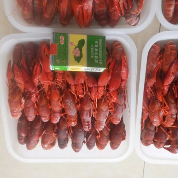 盒装小龙虾