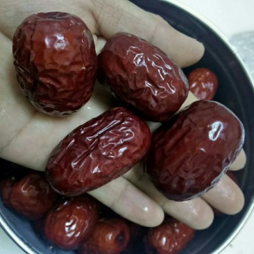 新疆灰枣