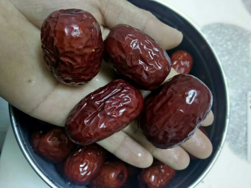 新疆灰枣