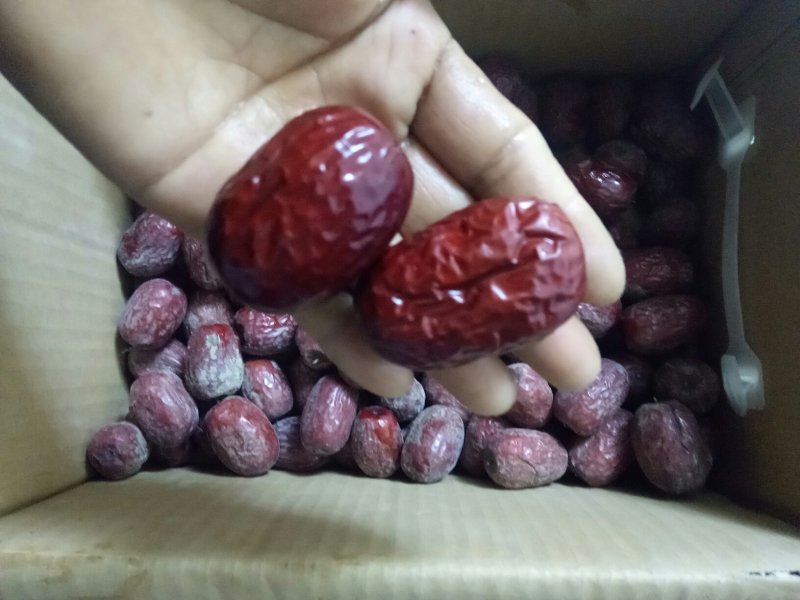 新疆灰枣