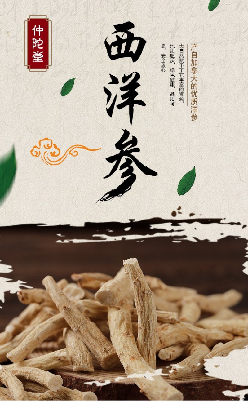 加拿大进口西洋参大节中节顶光粗须花旗参段丁剪刀下批发
