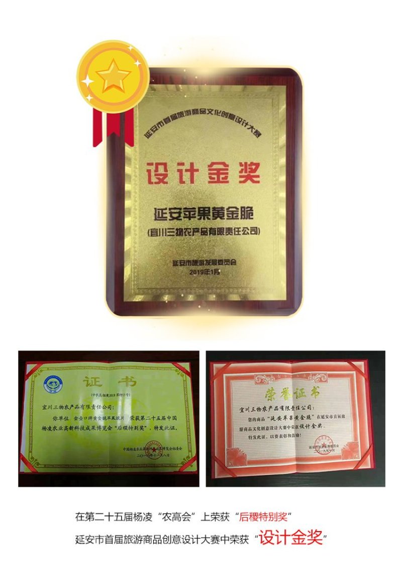 金壶口延安苹果黄金脆片