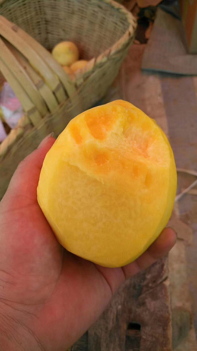 锦绣黄桃