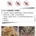 加拿大进口西洋参须滋补批发现货供应正品花旗参粗须