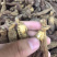 红参，无糖老红参500g
