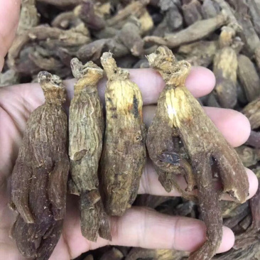 红参，无糖老红参500g