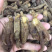红参，无糖老红参500g