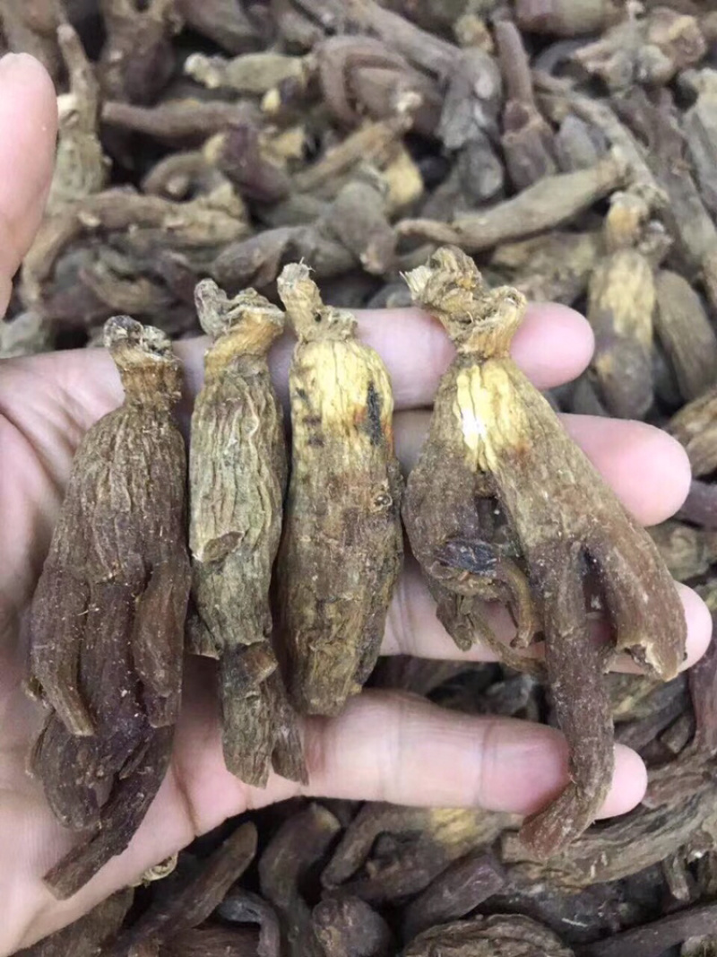 红参，无糖老红参500g