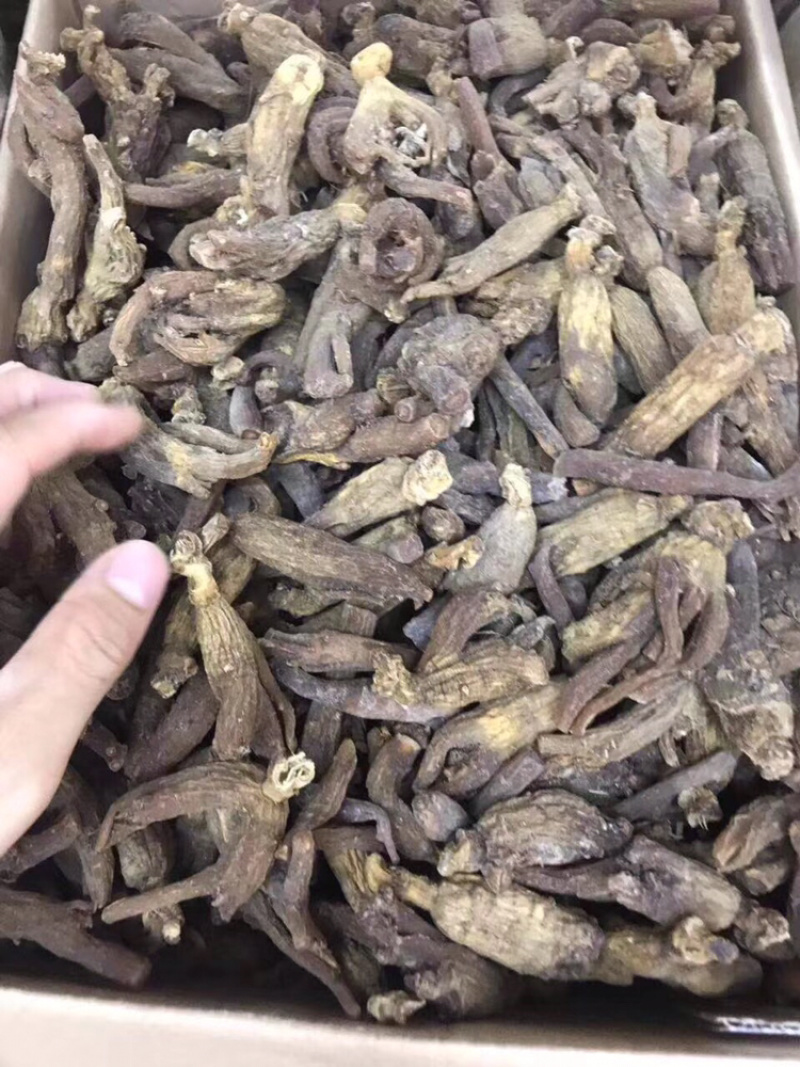 红参，无糖老红参500g