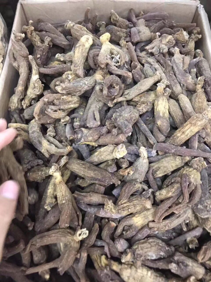 红参，无糖老红参500g