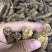 红参，无糖老红参500g