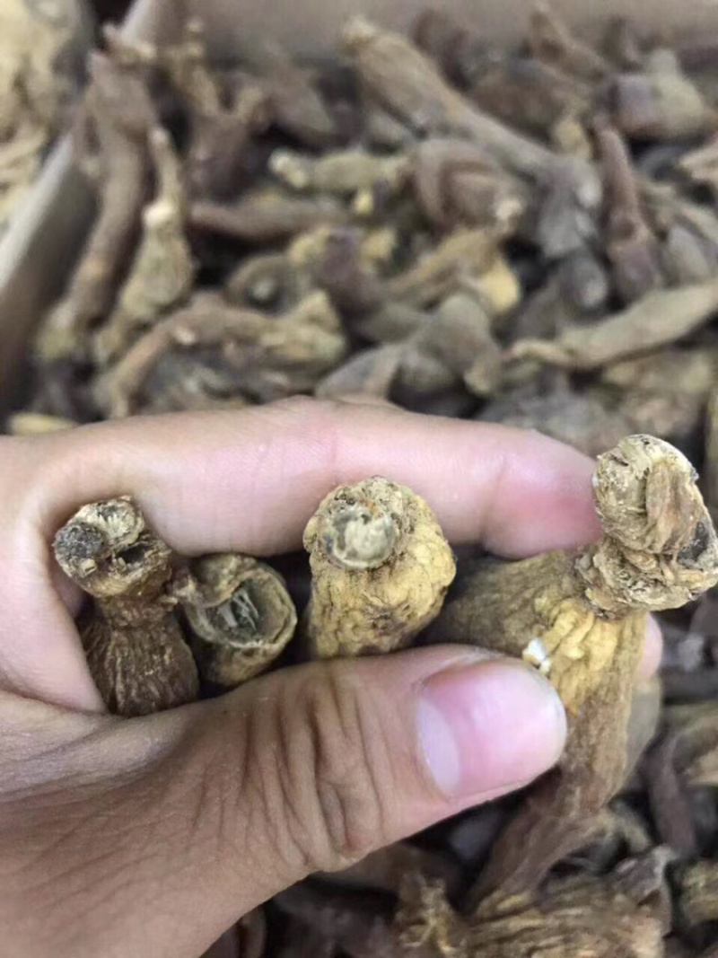 红参，无糖老红参500g