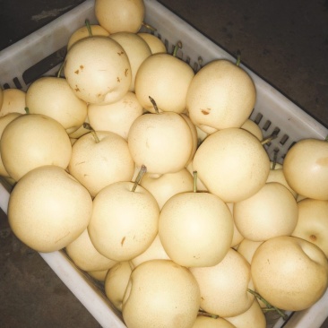 大量供应