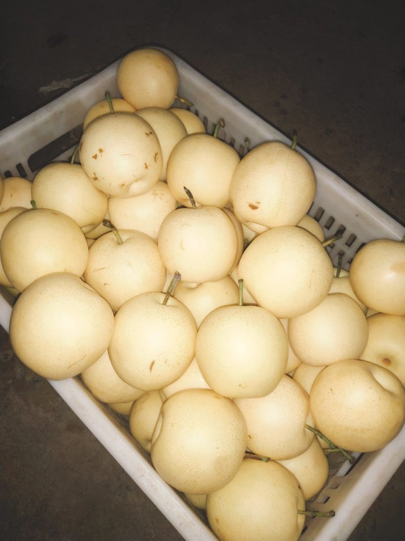大量供应