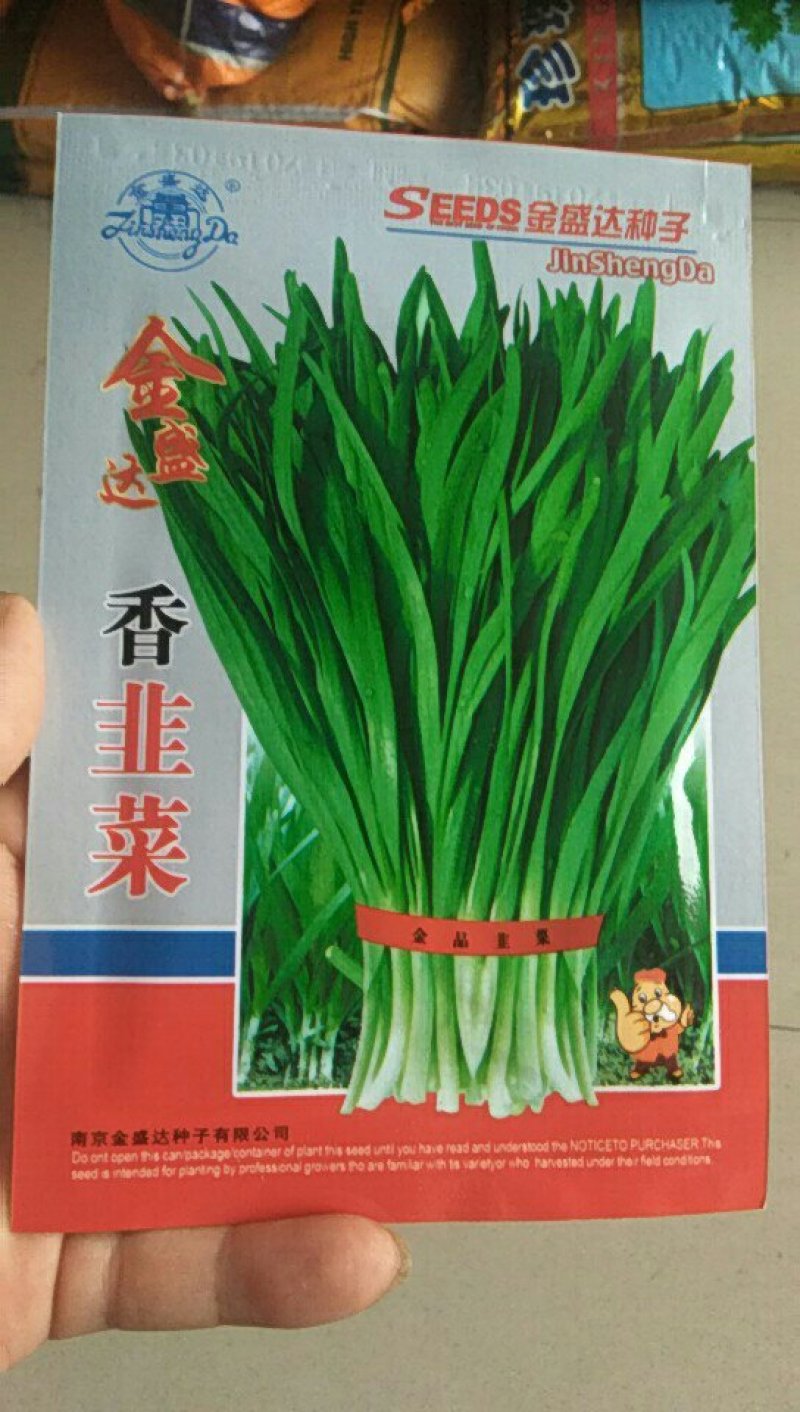 香韭菜种籽小细叶老品种香味浓郁生长四季盆栽耐寒金盛达蔬菜