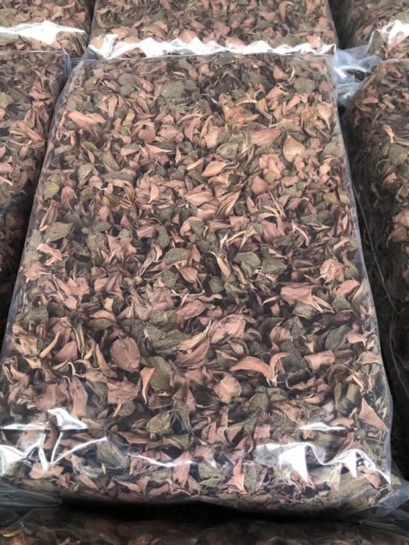 金线莲