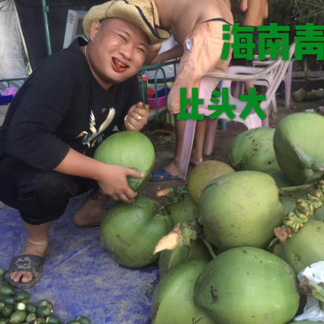 海南青椰带皮发货5-7斤左右一个大果