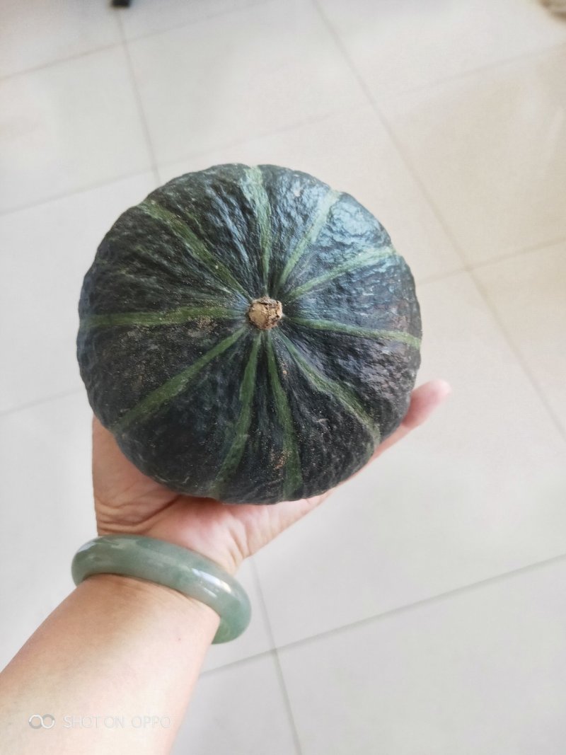 【推荐】内蒙优质贝贝南瓜诚信代办欢迎致电产地直发