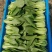 【精选】安徽小油菜食品厂上海青食堂菜电商平台商超代发代收