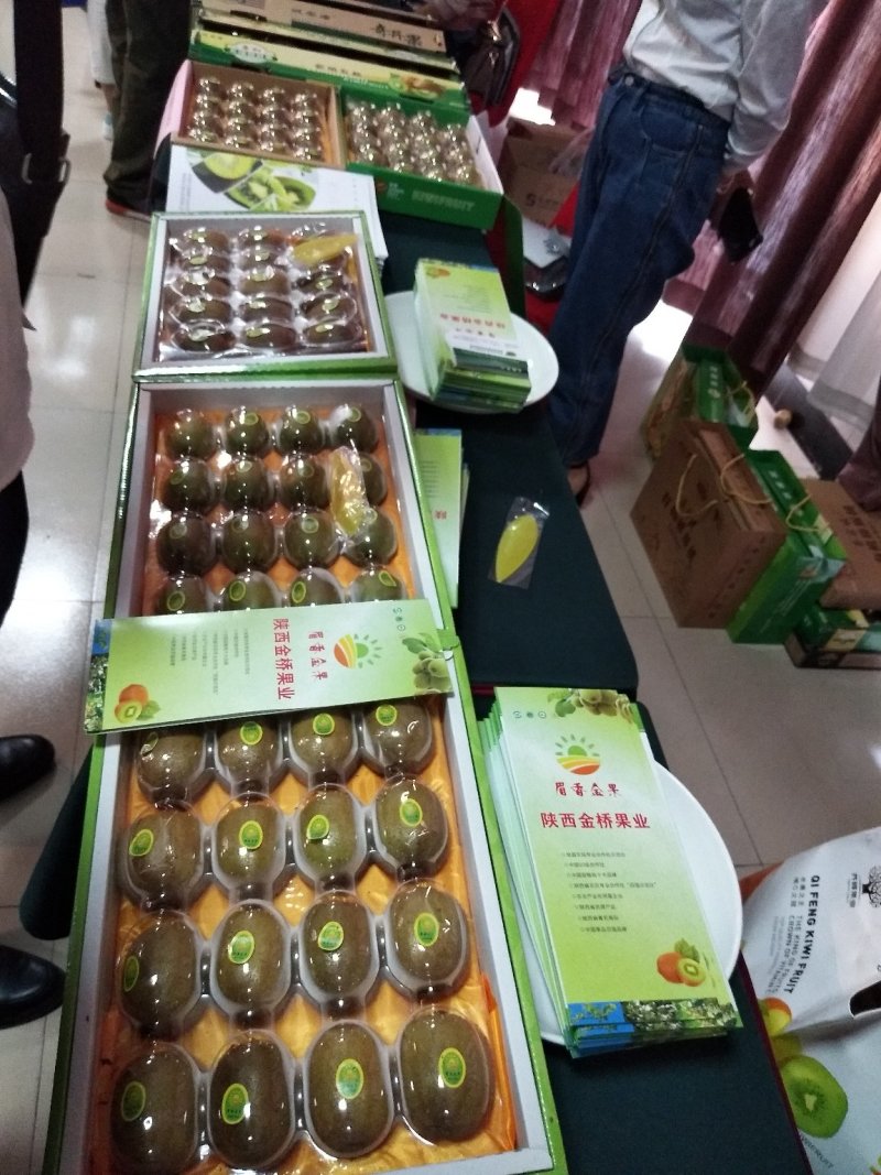 大量猕猴桃徐香亚特翠香品种齐全