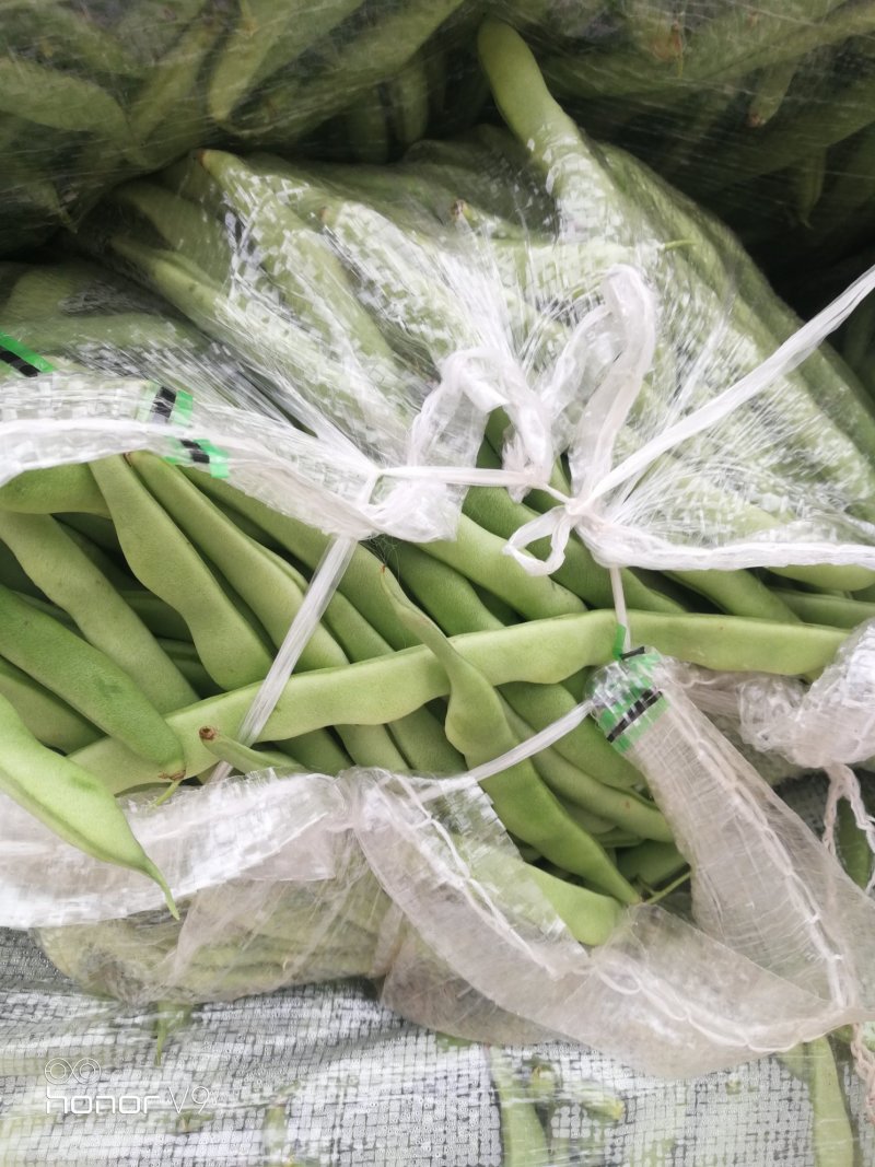 豆类