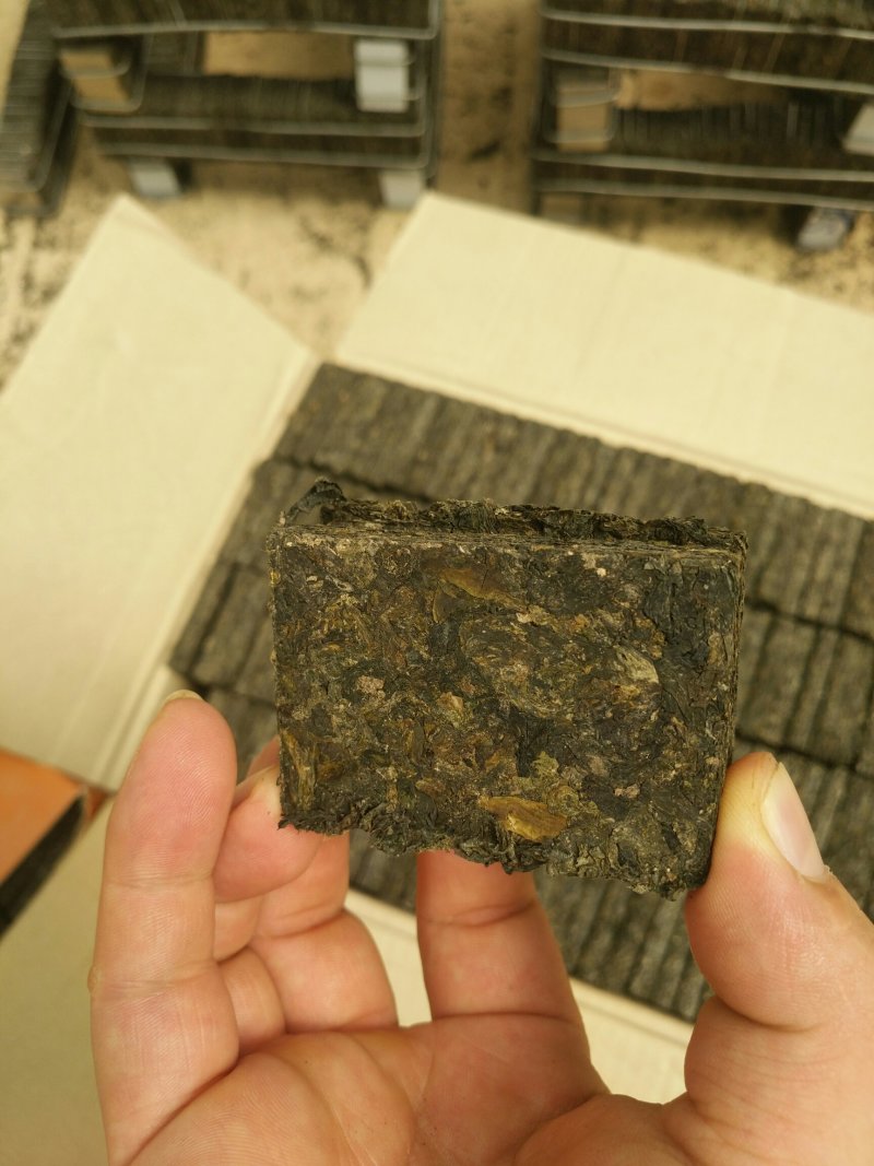 地达菜又名地皮菜，