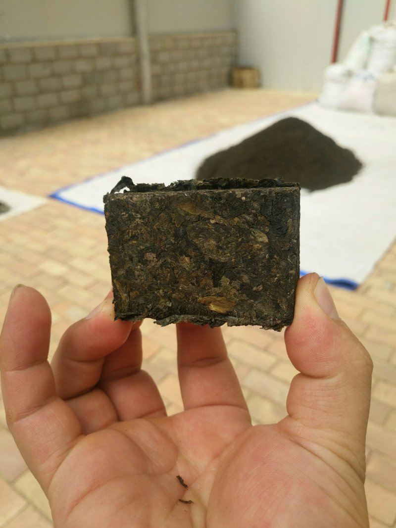 地达菜又名地皮菜，