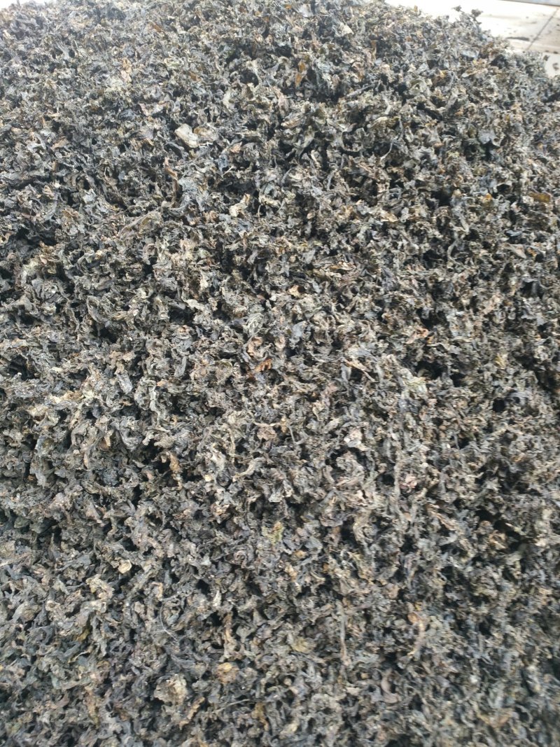 地达菜又名地皮菜，