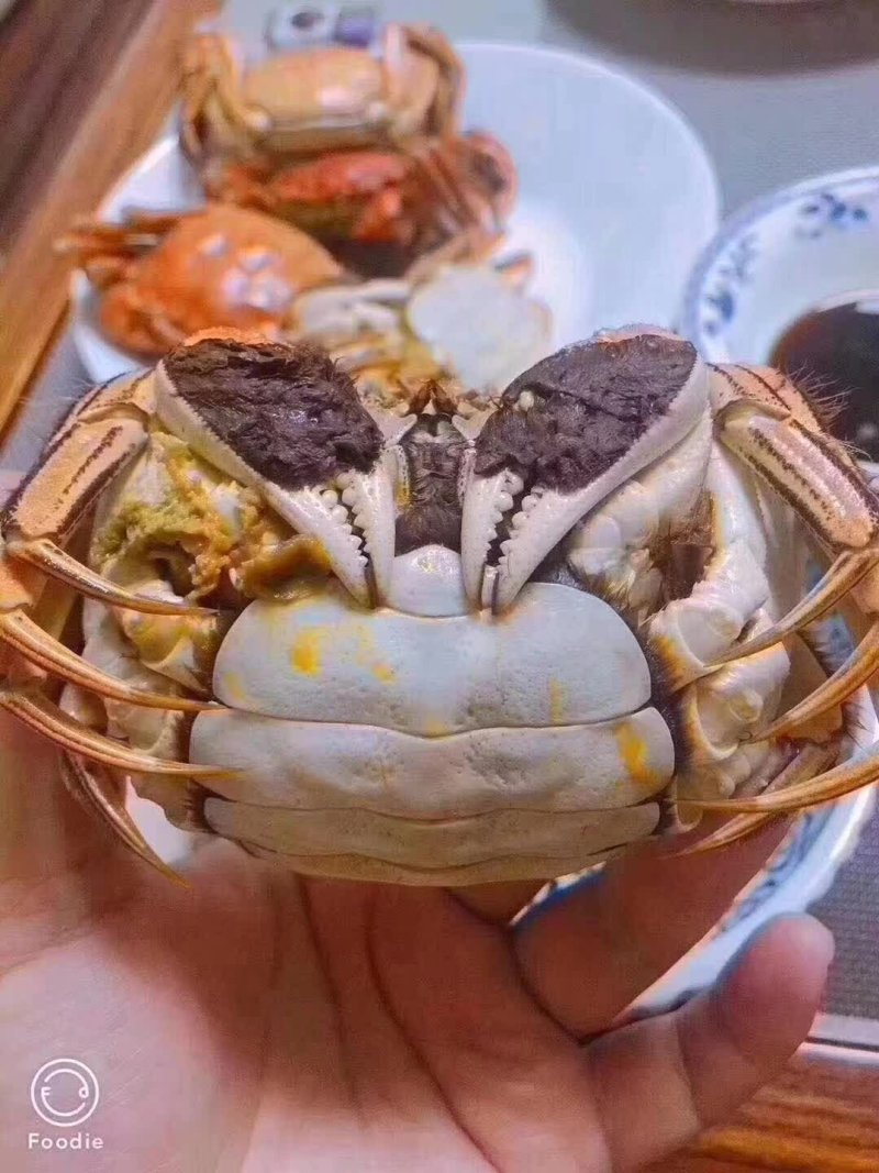 螃蟹类