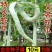 蛇豆蛇瓜种子蛇形长豆角春播种子地栽蔬菜种子四季播口