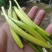 【一件代发】黄花菜秦岭农家黄花干菜煲汤炖肉炒菜凉拌3两一袋