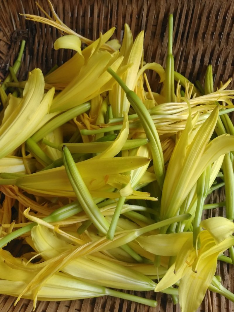【一件代发】黄花菜秦岭农家黄花干菜煲汤炖肉炒菜凉拌3两一袋